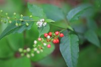 IMG_1238WYTSԂƎ.jpg